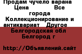 Продам чучело варана › Цена ­ 15 000 - Все города Коллекционирование и антиквариат » Другое   . Белгородская обл.,Белгород г.